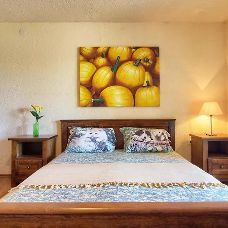 Charming Eleonora With Pool Near Pula Villa *